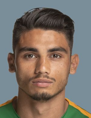 BAUMANN NOVEM 