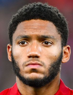 GOMEZ JOE 