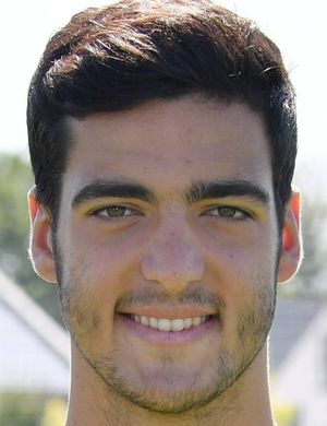 MERINO MIKEL 