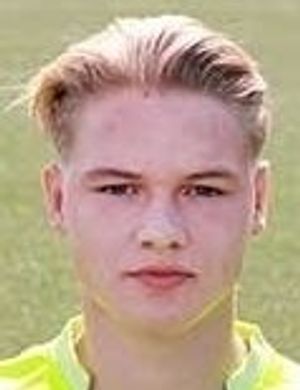 SIAULYS OVIDIJUS 