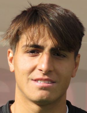 PISANI VINCENZO