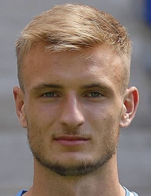 POSCH STEFAN 