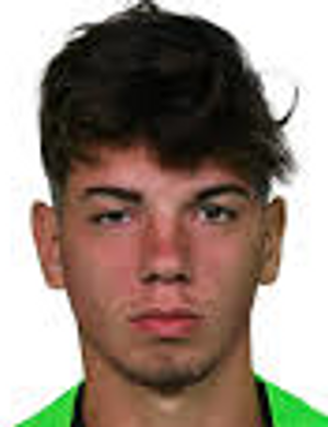 FANTONI THOMAS