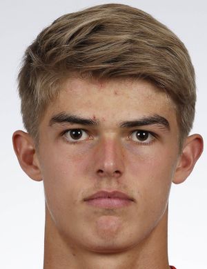 DE KETELAERE CHARLES 