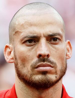 DAVID SILVA JIMENEZ