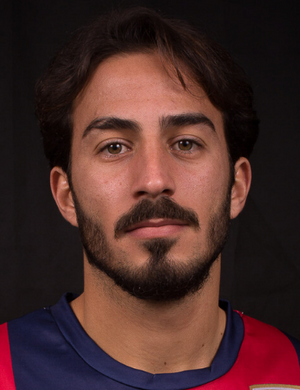 SANSEVERINO GIULIO