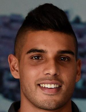 EMERSON PALMIERI DOS SANTOS 