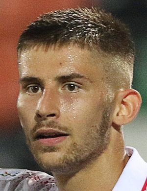 VICARIO GUGLIELMO 